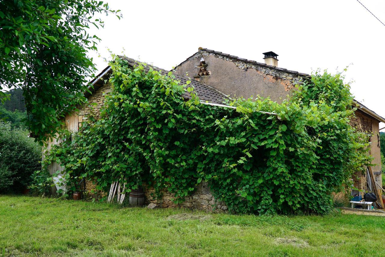 La Prairie Villa Siorac-en-Périgord Eksteriør billede